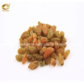 Golden/ Green High Grade Raisins Xinjiang